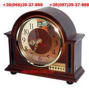 Антижучок Багхантер СЛ-01 новинка. Индикатор поля