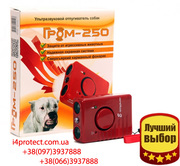 Как защититься от нападения собак, отпугиватель собак Гром-250