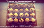 Продам: Упаковка пластиковая прозрачная для яиц перепелиных,